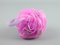 Shower Sponge